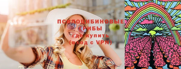 PSILOCYBIN Новозыбков