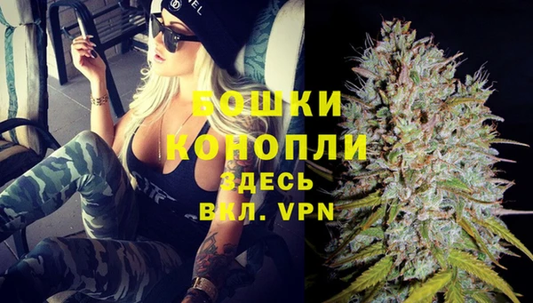 PSILOCYBIN Новозыбков
